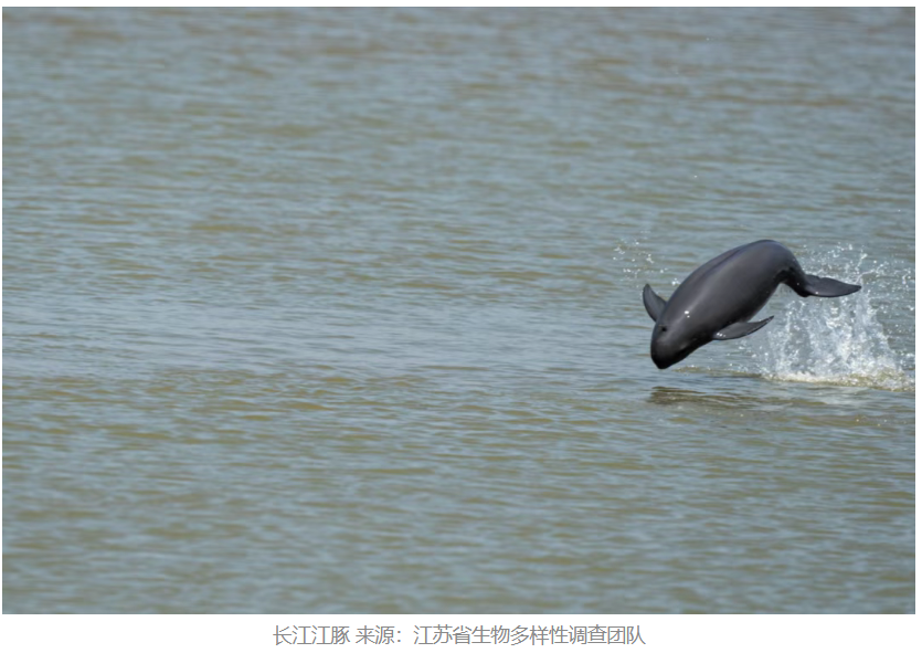 QQ20250911-163255.png