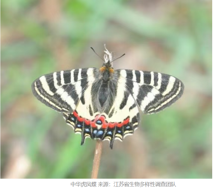 QQ20250911-163325.png