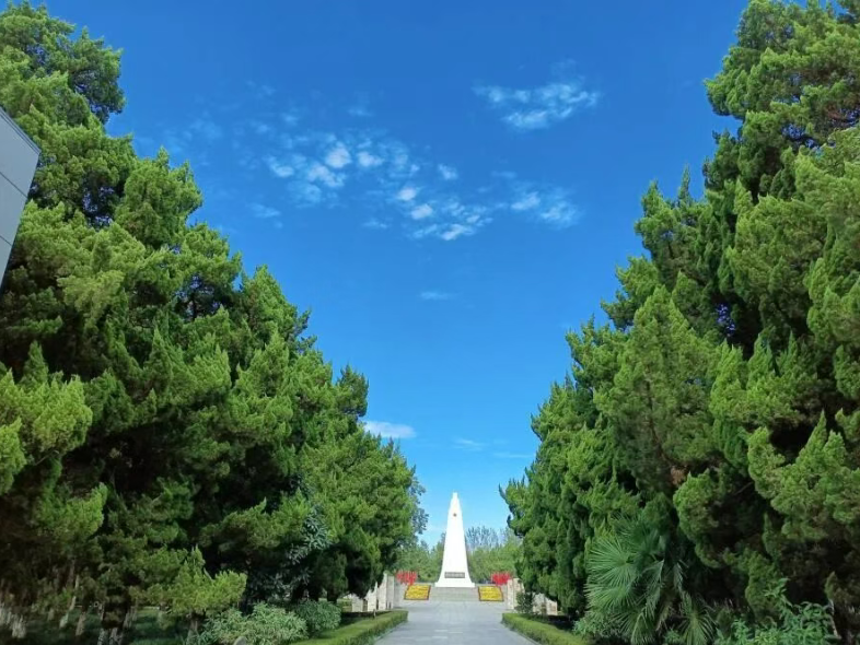 QQ20251009-083629.png