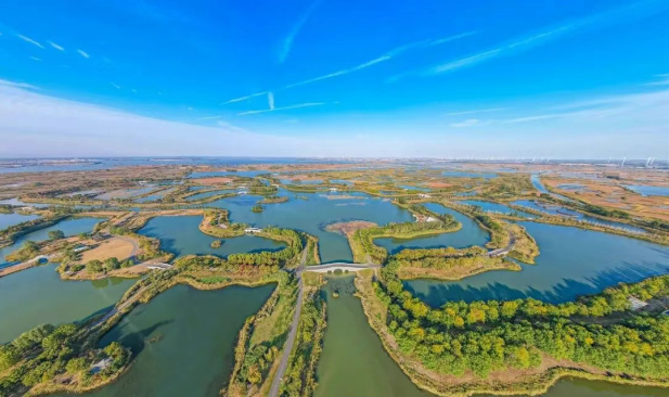 世界湿地日 | 水韵江苏 “湿”意盎然